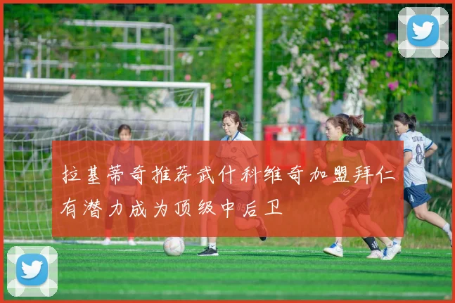 拉基蒂奇推荐武什科维奇加盟拜仁有潜力成为顶级中后卫