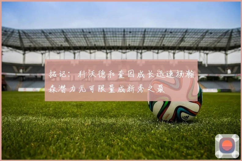 拓记：科沃德和奎因成长迅速杨瀚森潜力无可限量成新秀之最